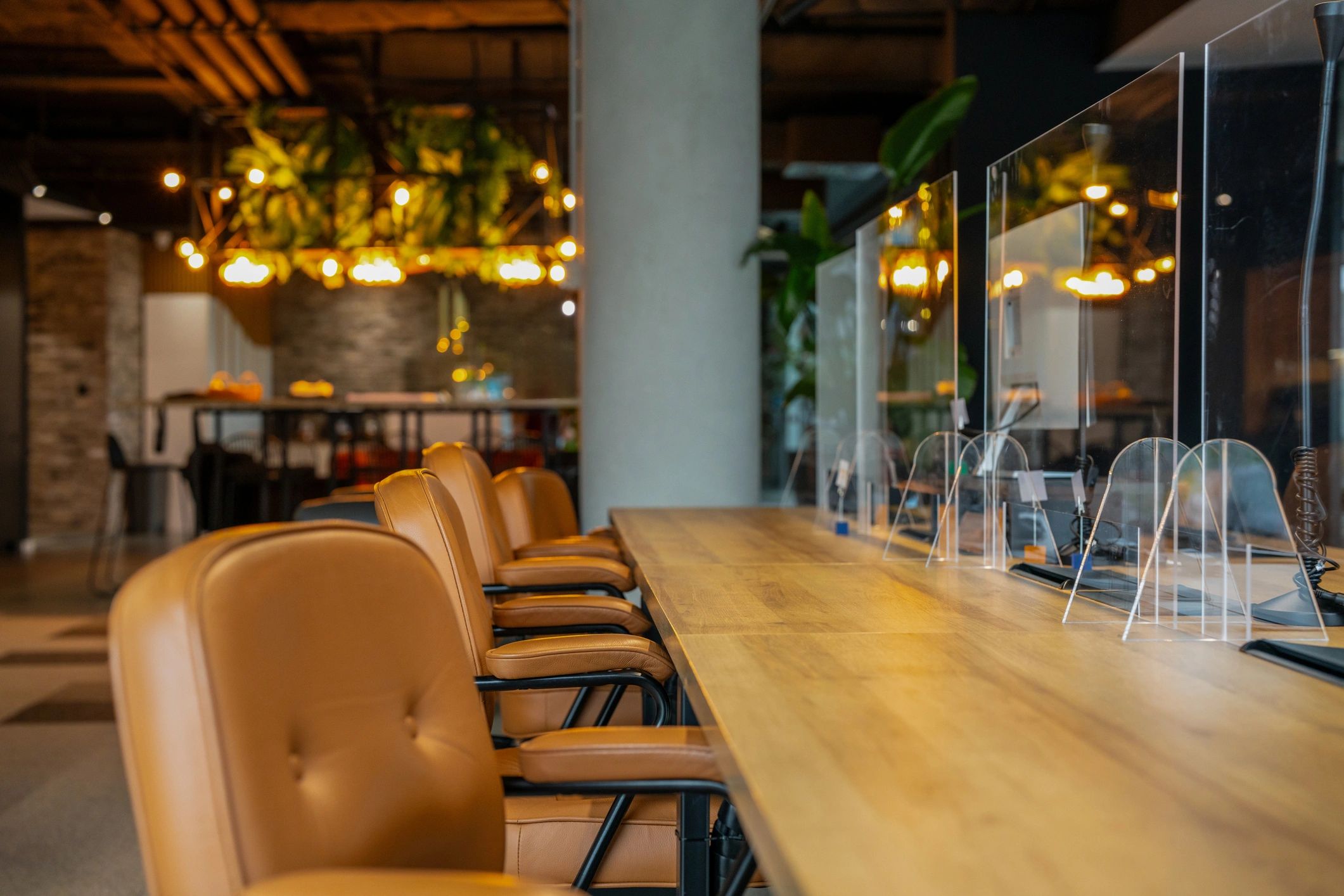 Clean modern interior used to represent polished grooming experience